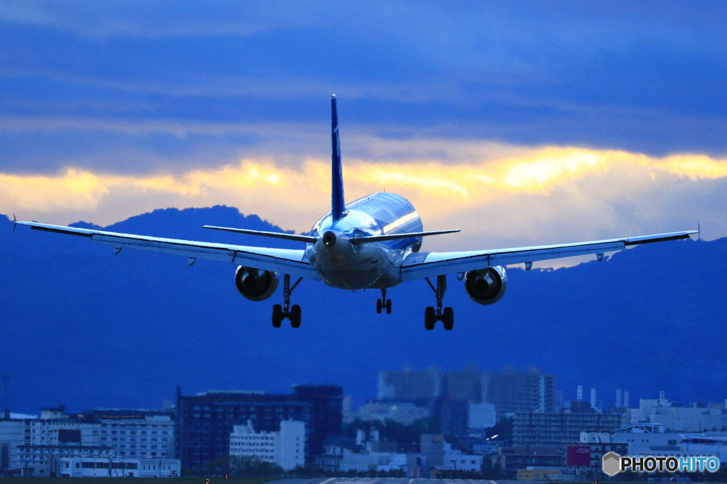 たまに来るA320