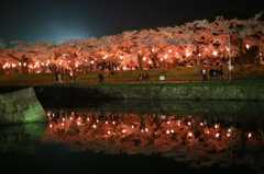 五稜郭公園