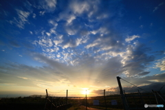 14mmの空