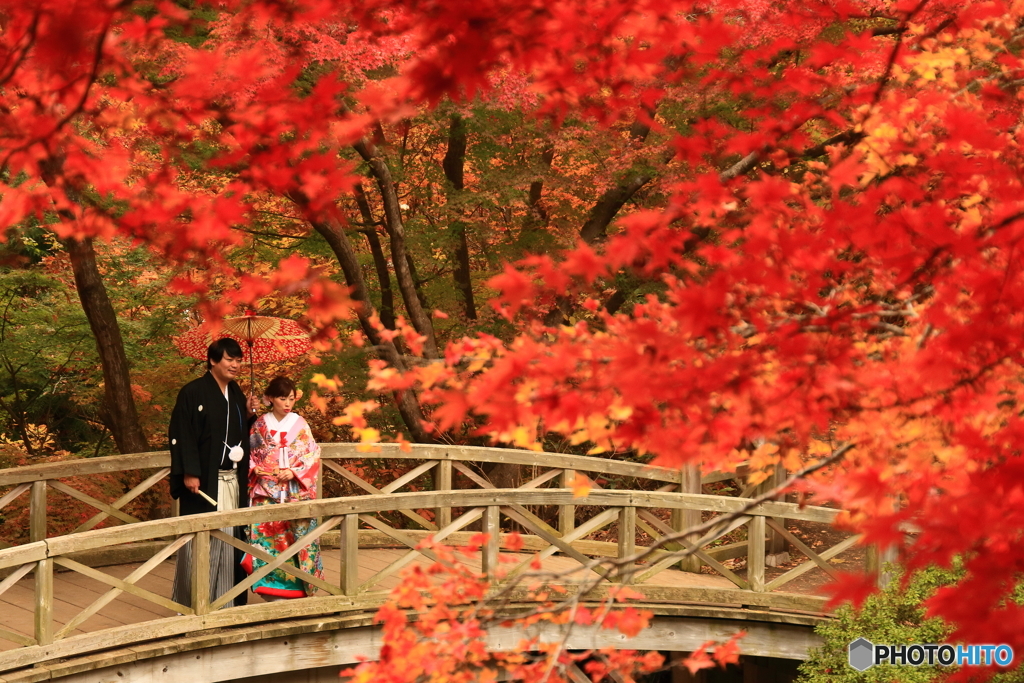 紅葉の中で