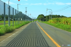 影