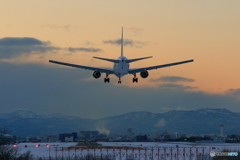 767 AIR DO
