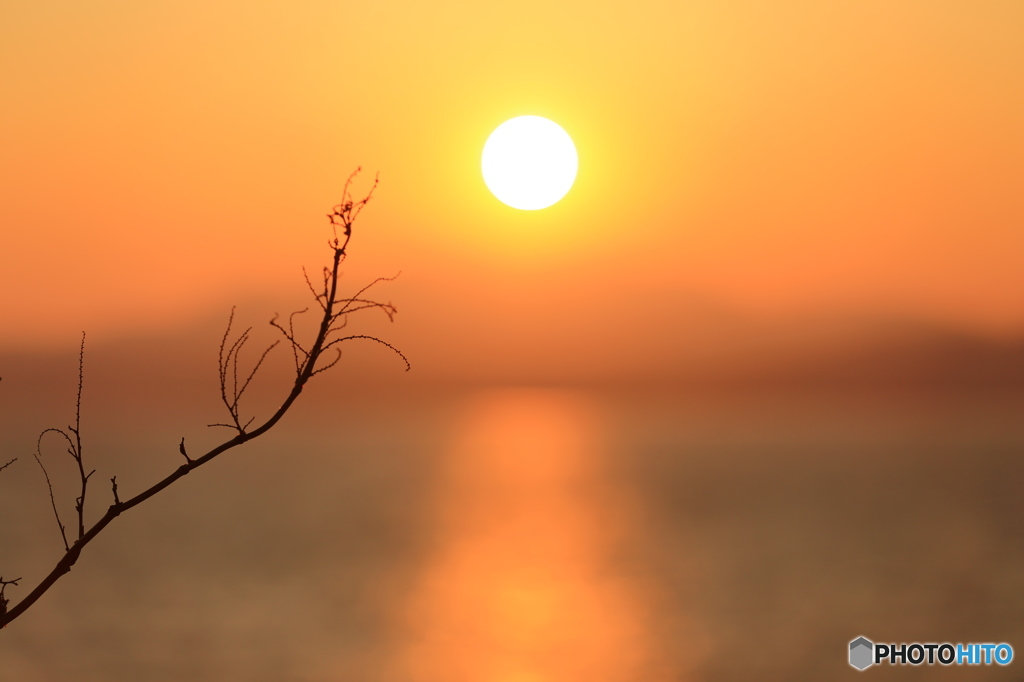夕日