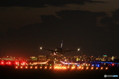 函館空港（ANA)