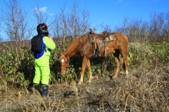 七飯岳山頂のお馬さん