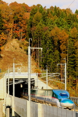 秋 新幹線