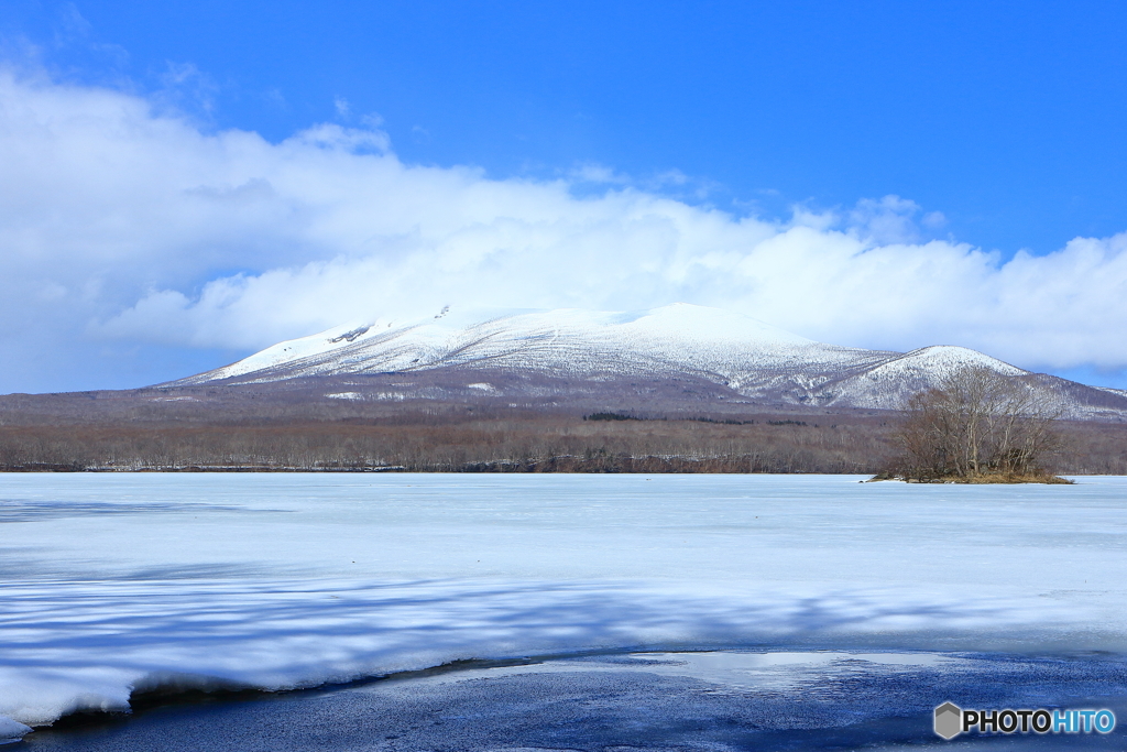 大沼の氷が緩むころ