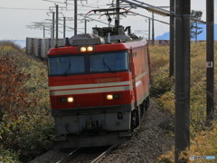 EH800-9