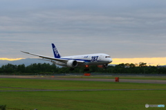 787