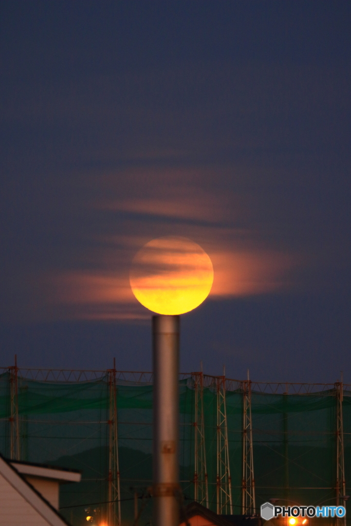 十六夜