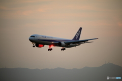 久々の飛行機撮り