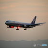 久々の飛行機撮り