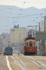 市電のある風景②