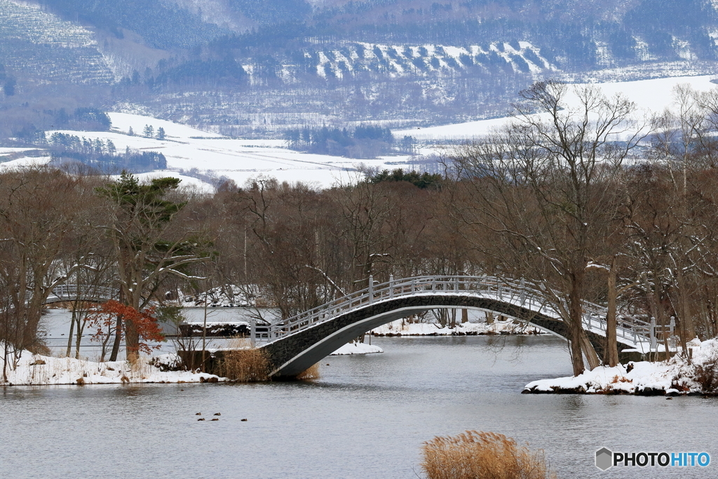 冬の湖月橋