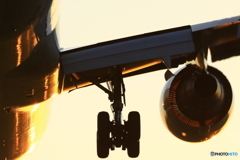 胴足機関