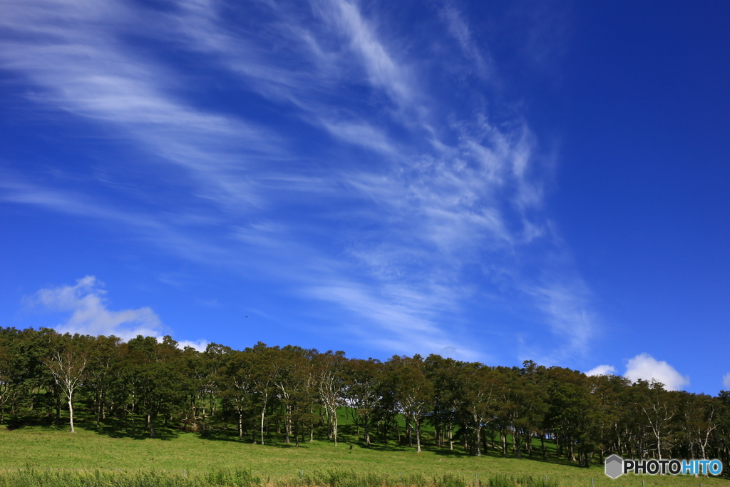 青い空③