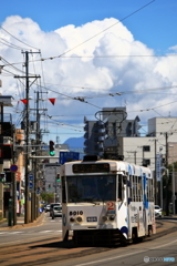 夏が来た!