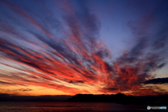 函館山夕景