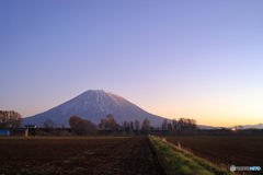 羊蹄夕景