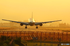GOLD７７７