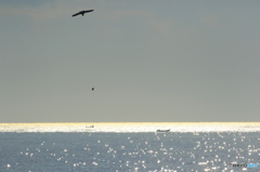 朝の海