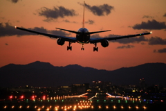 767紅
