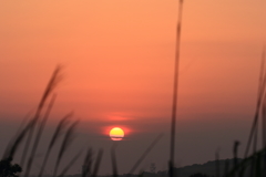 夕日