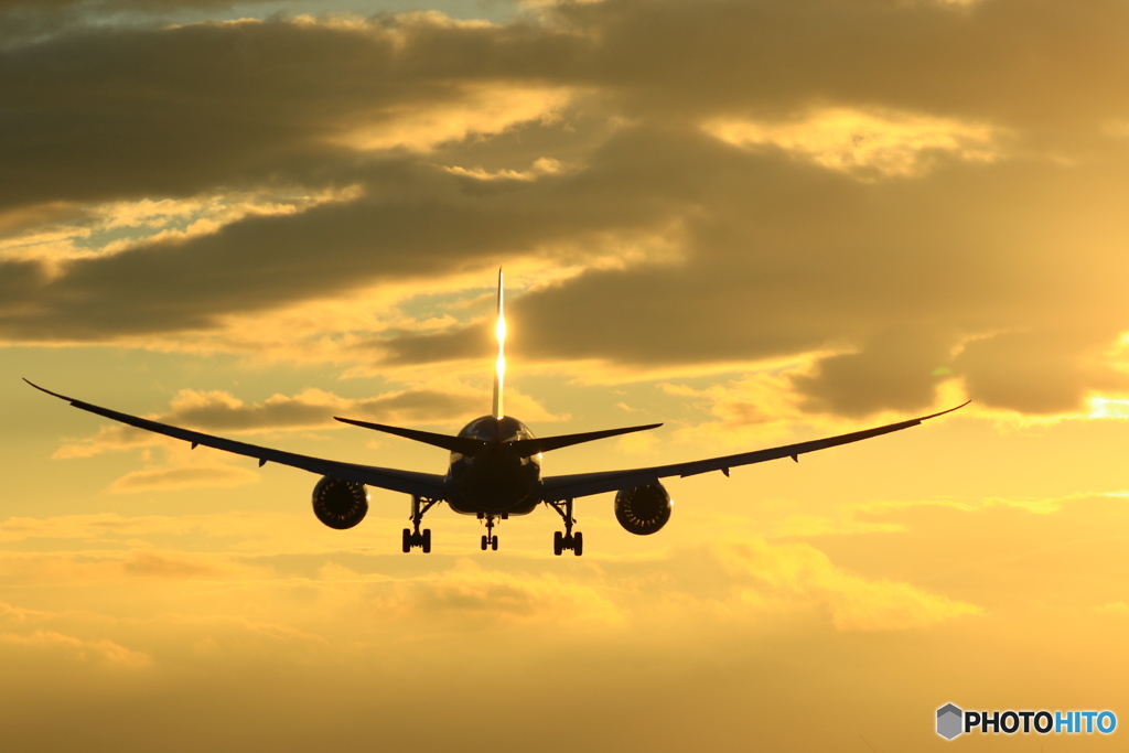 GOLD787