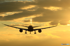 GOLD787