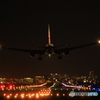 JAL767