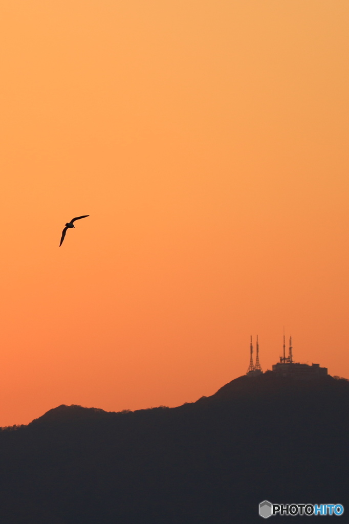 夕焼け