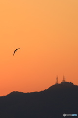 夕焼け