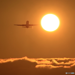 夕陽と飛行機