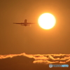 夕陽と飛行機