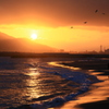 夕焼け乱舞
