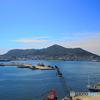 函館山と港