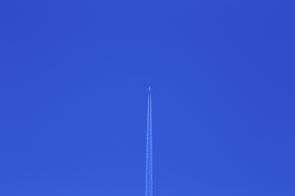 青