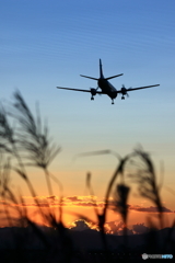 綺麗な空
