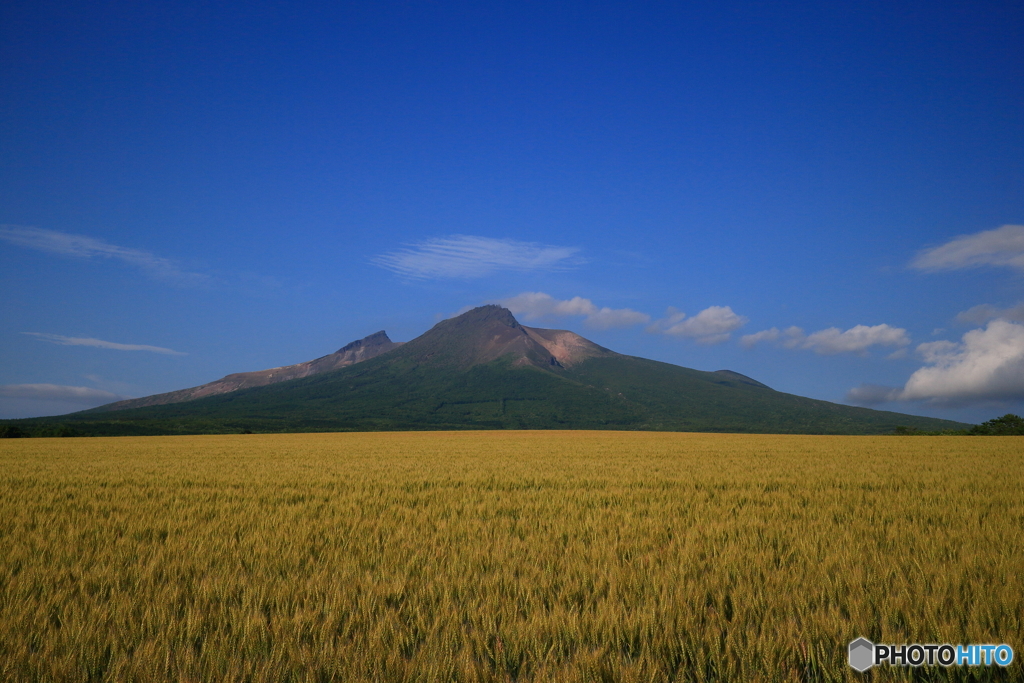 黄金と駒ヶ岳(M編)