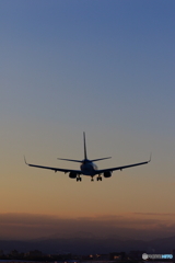 黄昏737