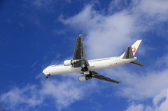 今日の767