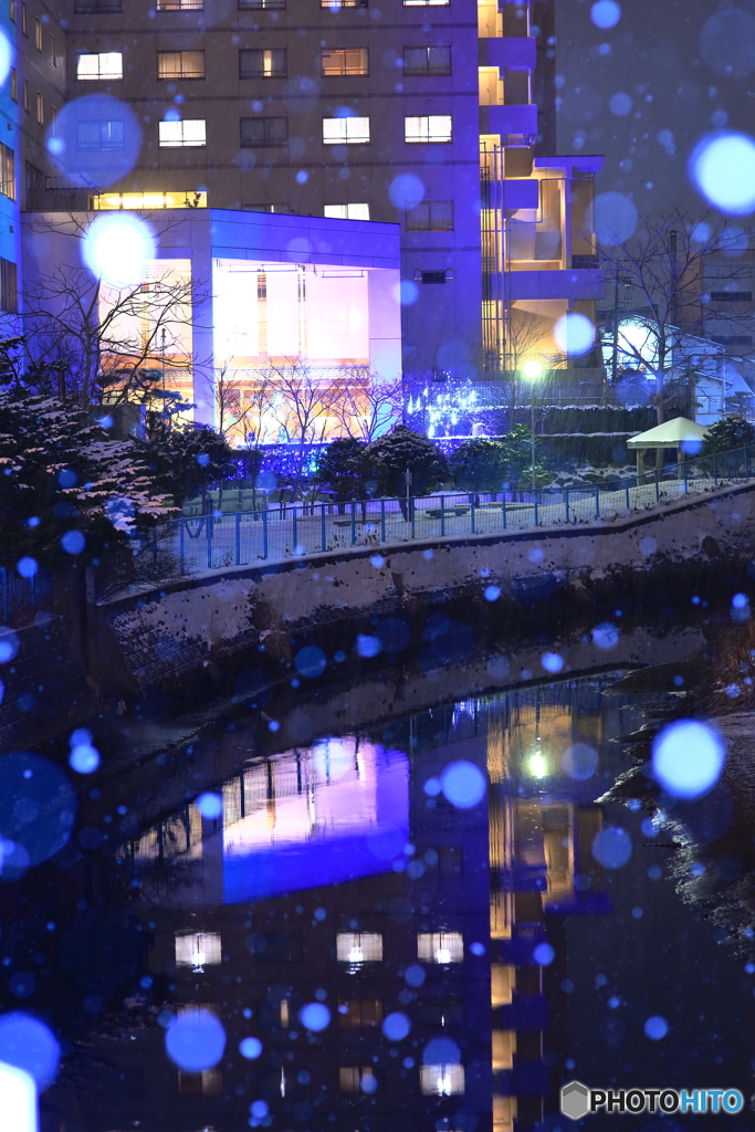 雪やこんこ