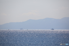 海