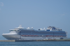 DIAMOND PRINCESS①