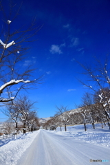 雪と青空