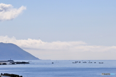 穏やかな海
