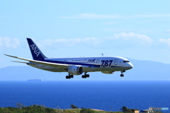 787