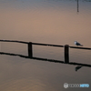 夕暮れ