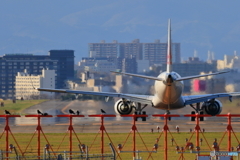 空を飛ぶものたち