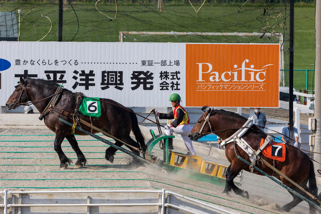 ばんえい競馬